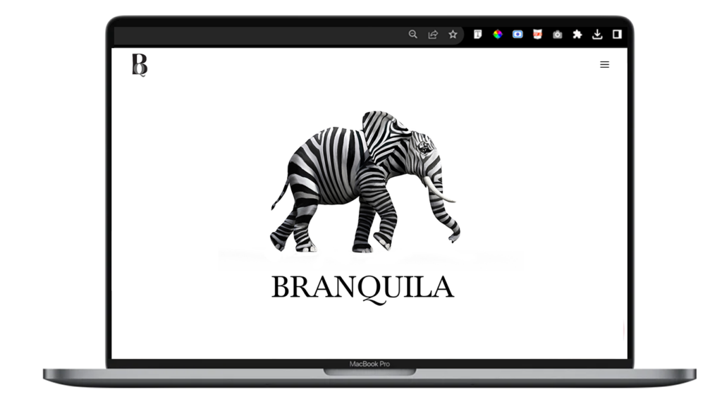 Branquila Brand Management Agency 97 Portfolio BRANQUILA